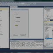 Visual Basic RadioButton
