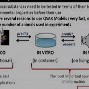 Quantitative Structure Activity Relationship Models QSAR Models