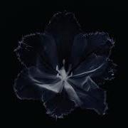 Angel Massive Attack Best Part Loop