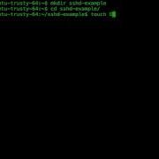 Beginning Docker Writing And Building A Dockerfile Packtpub Com