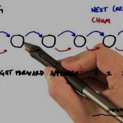 Merrills Linear Complexity BFS On GPUs Part2 Intro To Parallel Programming