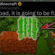 Minecraft Bugs Players DON T Want Mojang To Fix