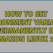 How To Set Environment Variables Permanently In Amazon Linux 2 2 Solutions
