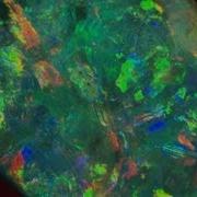 Opal How Do They Do It