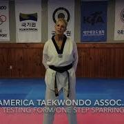 Form 5 Korea America Taekwondo