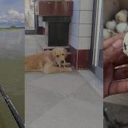 Operation Warmth Lovestory Animals Rescueefforts Birds Chicks Love Cute Rescue Pets Funny