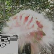 500 SMITH AND WESSON VS WATERMELON IN SLOW MOTION
