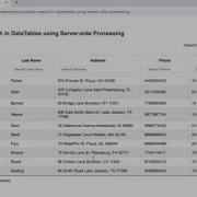 Column Search In Datatables Using Server Side Processing