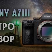 Sony A7 III лучшая камера для астрофотографии