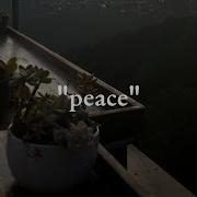 Cold Nights Great Vibes Peace Playlist