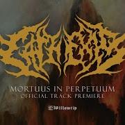 Cathexis Mortuus In Perpetuum Official Track Premiere