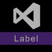 Label Visual Basic Programming VB NET VBScript
