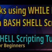 16 Some Tricks Using WHILE LOOP In BASH SHELL Script Interval Commands Execution