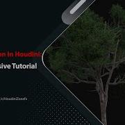 Plant Simulation In Houdini A Comprehensive Tutorial