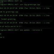 SVN Log And Update