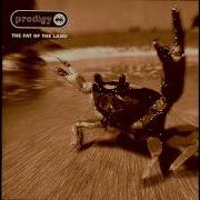 The Prodigy Narayan Instrumental