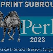 Perl Programming Print Data Subroutine 2023