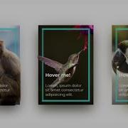 CSS Animated Responsive Card CSS Hover Effects