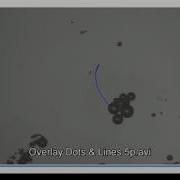 Tracking Of Moving Particles Micromotors Using FiJi Or ImageJ