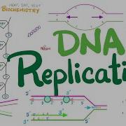 DNA Replication In Prokaryotes Eukaryotes DETAILED Molecular Biology Biochemistry