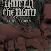 WORTH THE PAIN Final Bell