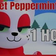 Sweet Peppermint Cat ONE HOUR