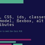 Introduction To Web Dev Quiz 1B HTML CSS Ids Classes Box Model Flexbox Alt Attributes