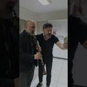 Kirpi Bülent Sinan Zorbey Kalleş Dünya