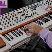 Arturia Polybrute 12 Powerful Premium Pro