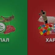 Харам и халяль в магазине МЯСО КАРМИН ЖЕЛАТИН