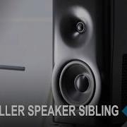 Dutch Dutch S 6c Active Loudspeaker Explained 8c Concept For Smaller Rooms