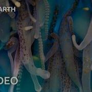 Travel To The Depths Of Our Mysterious Oceans 4K UHD Blue Planet II BBC Earth