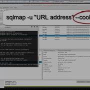 SQL Injection Using Sqlmap In Kali Linux 2 0