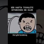 Bir Hafta Tuvalete Gitmezsen Ne Olur Toilet Tuvalet Shorts