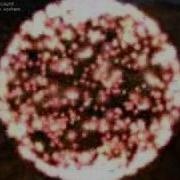 RandomChaos Generic XNA 3D Scaled Particle System
