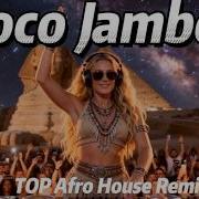 Mr President Coco Jamboo Best Afro House Remix 2026 90s Summer Vibes