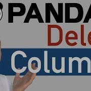 Python Pandas How To DELETE COLUMNS From DataFrame