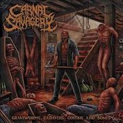 Carnal Savagery 2024 Graveworms Cadavers Coffins And Bones Death Metal DR11