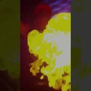 TNT Records Storm Tntrecordsmusic Tntrecords Tomorrowland