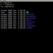 Linux How To Copy All Files Including Hidden Using Cp Command