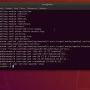 Installing Web Server Apache On Linux Ubuntu And Publishing Web Site