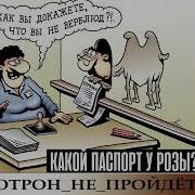AntiFraud Рамирес какой паспорт у Розы Анализ схем