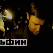 Dolphin Дельфин Ждут