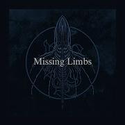 Sleep Token Missing Limbs Lyric Video 中文歌詞翻譯