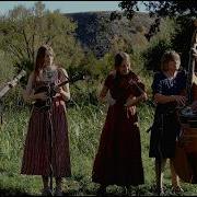 Wildflowers The Petersens LIVE