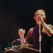 Дельфин Радиоволна Live