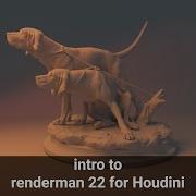 Intro To Renderman 22 For Houdini 17 5