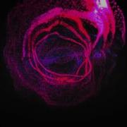 Property Effector Visualizer Demo Black