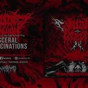 Virulent Excision Visceral Hallucinations