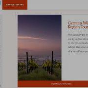 Navigation Pro Theme Basic Customizer Settings